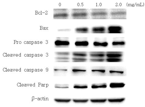 fep-18-2-154-g4