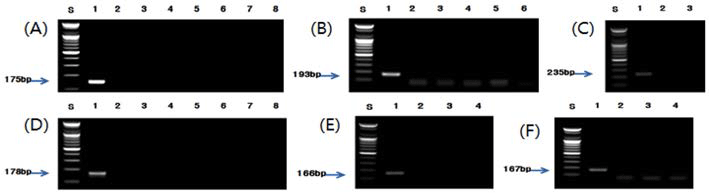 fep-18-4-419-g5