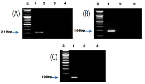 fep-18-4-419-g7