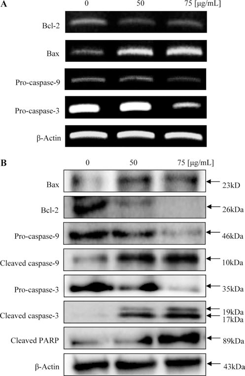 fep-19-3-235-g4