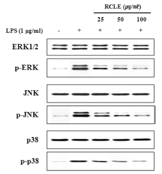 fep-20-1-21-g5