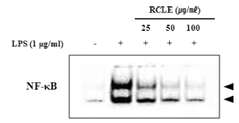 fep-20-1-21-g6