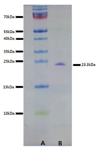 fep-21-2-103-g2