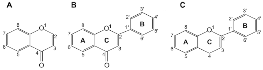 fep-24-3-151-g2