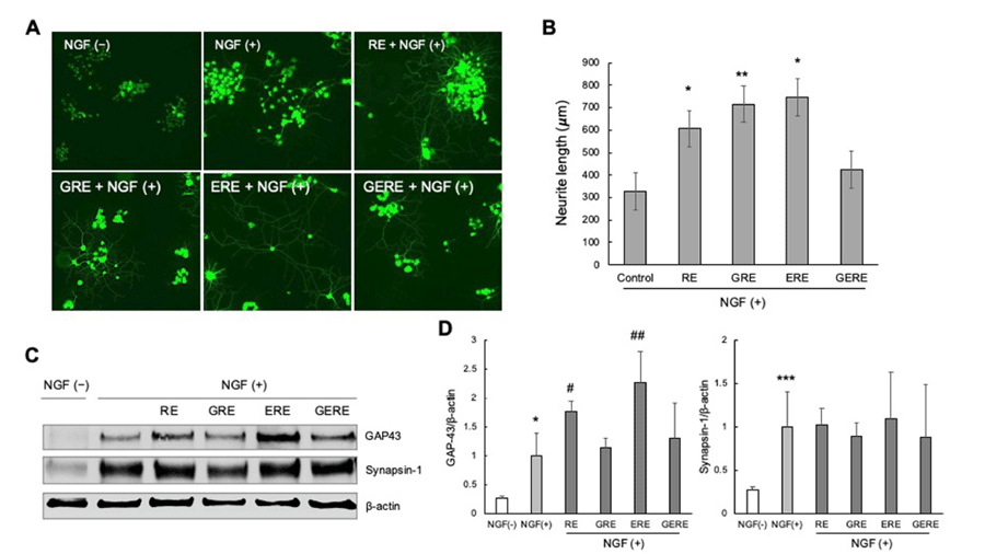 fep-25-3-178-g2