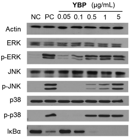 fep-27-4-413-g4