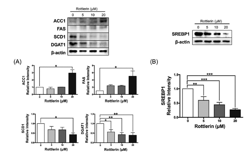 fep-28-3-225-g5